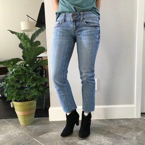 American Eagle Artist Jean